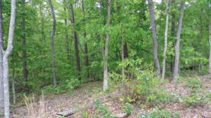 Lot 42 Long Pine CT