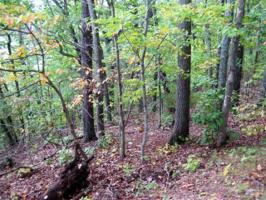 0 Cabin Land DR Lot #26B