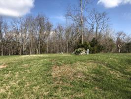 Lot #31M Hales Ford RD