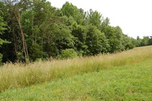 Lot 15 Lynmel RD
