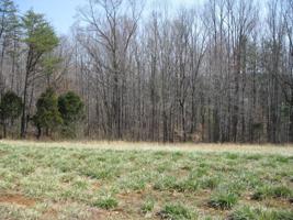 Lot 17 Lynmel RD