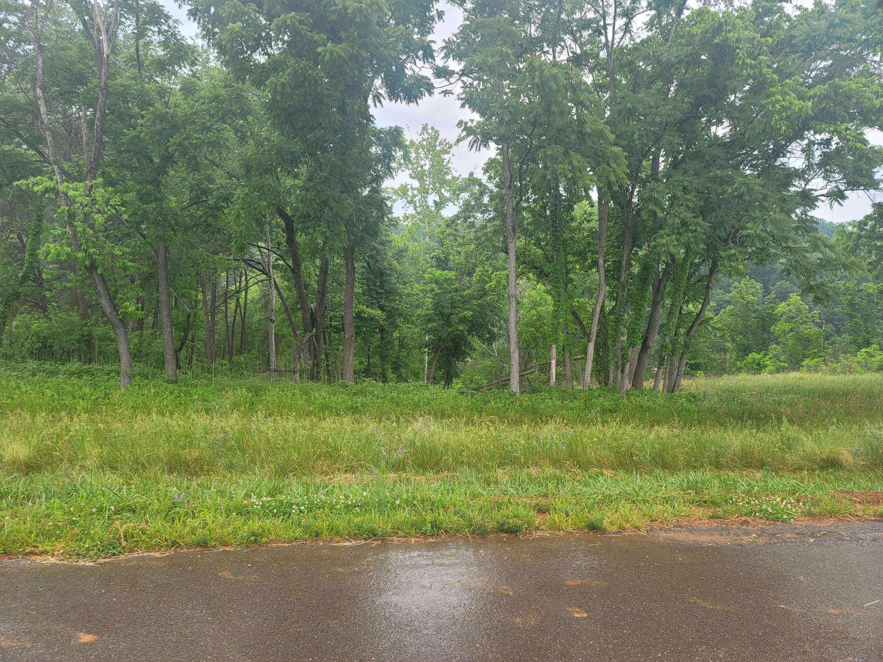 Image 3: Lot 9 Photo