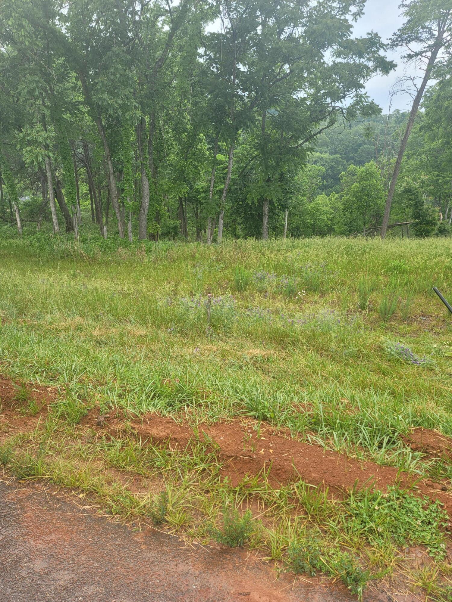 Image 4: Lot 9 Photo1