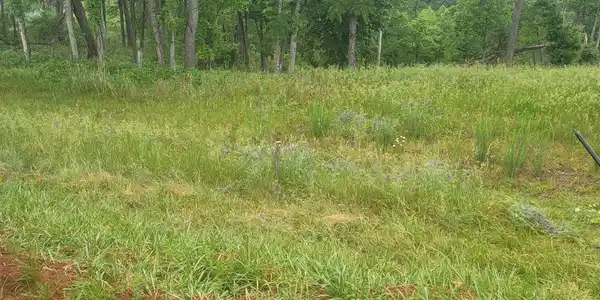 Image 4: Lot 9 Photo1