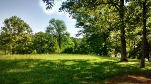0 Lynmel RD Lot #13