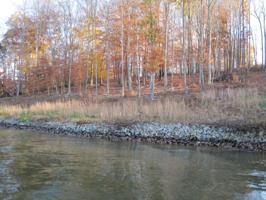 Lot 40 Tranquility Bay DR