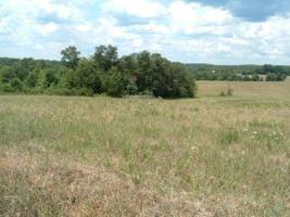 Lot 1 Royal Estates BLVD