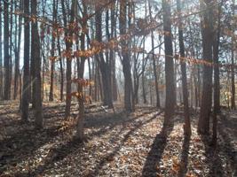 Lot  34 Long Pine CT Lot #34