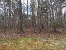 LOT 9 GAP BRIDGE RD