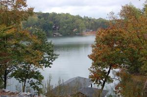 Lot 14 Minnow LN