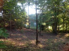 Lot 6A Merriman Way RD