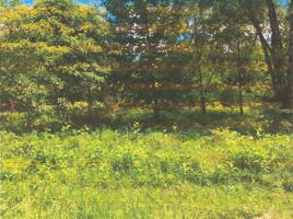 Lot 4 Standiford RD