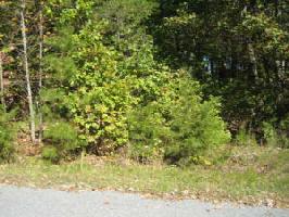Lot 141 Baytree CT