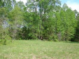 LOT 23 CAMELLIA PL