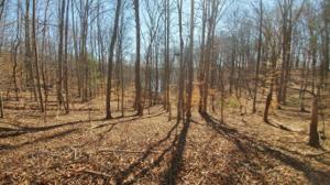 Lot 144 Oak Crest DR