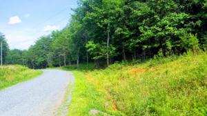 Lot 39 Blazing Ridge DR