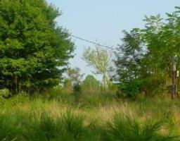 lot 15 Juniper RD