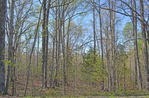 Lot 35 Trading Post RD