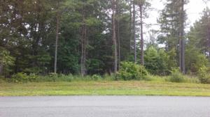 Lot #1 Flat Top Cove RD