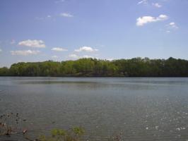 Lot 234 Clear Pointe Run