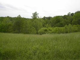 Lot 61 Rose ST