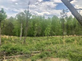 Lot #19 JFK BLVD