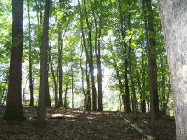 LOT 108 INDIAN RIDGE DR
