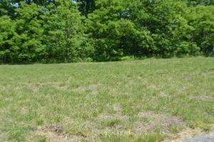 Lot 19 Watchtower DR