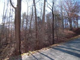 Lot 4 LIMERICK LN