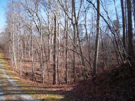 TRACT B LIMERICK LN Lot #B