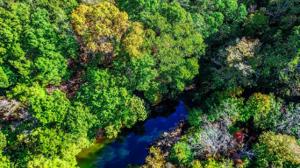 Lot #3,4,5,6 Twelve Acre RD