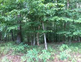 Lot #42 OLD MILL DR