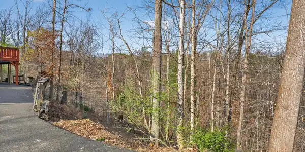 Image 4: secluded view