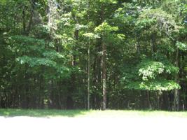 Lot 99 Woodley RD