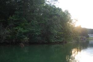 Lot 46 Pinnacle LN
