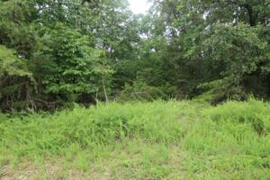 Lot 7 Rock Cliff RD