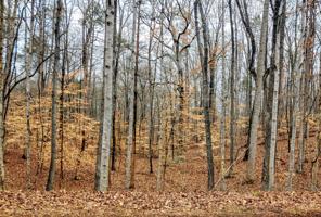 Lot 14 Oakpark DR