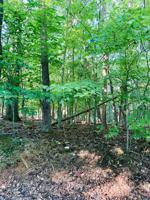 Lot 15 Freeboard DR
