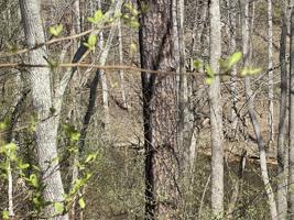 Lot 17 Watchtower DR