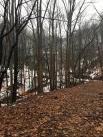 Lot #34-37 43-44 LAKECREST DR