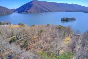 Lot 115 Capewood DR