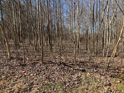 Lot 2 Lake Park DR