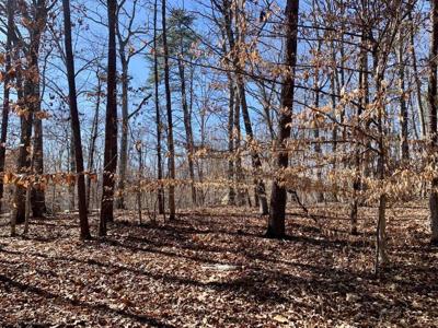 Lot 10 Ravenwood DR