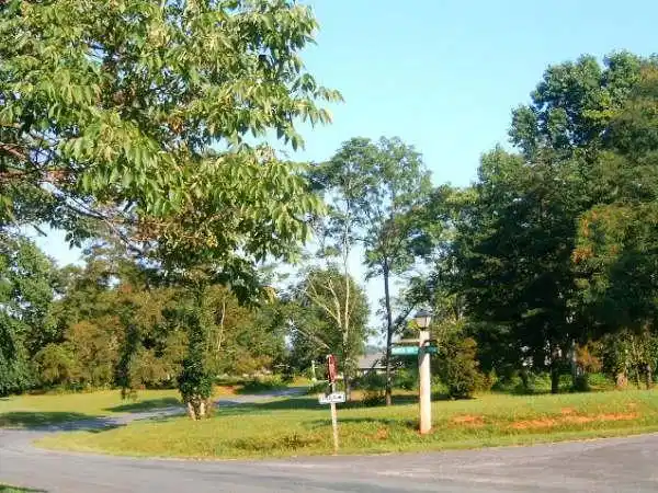 Image 1: Lot
