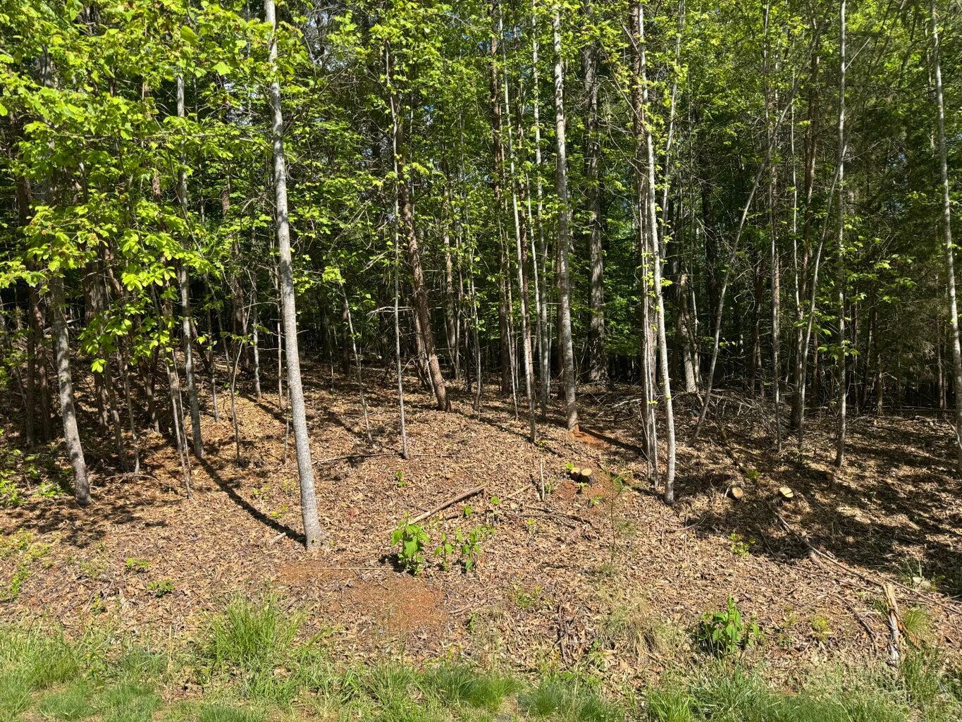 Image 3: Lakeside Lane