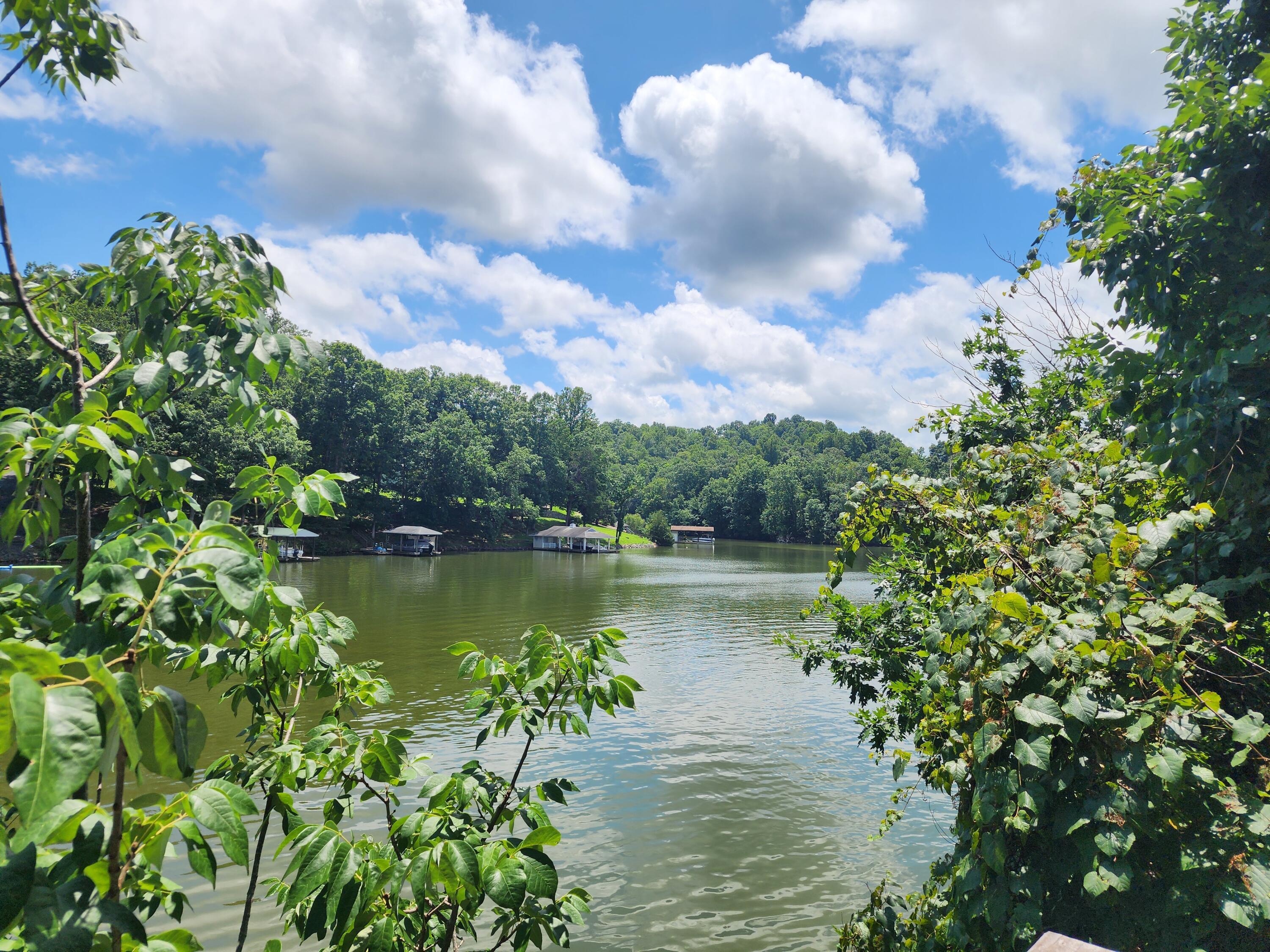 Image 3: 20250715_124519
