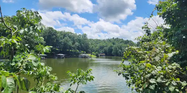 Image 3: 20250715_124519
