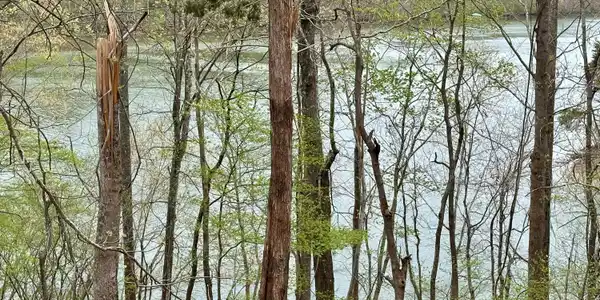 lot 6 Water Side TER