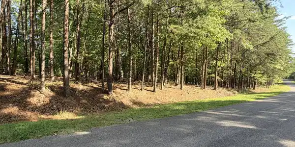 Lot 75 Mountwood DR