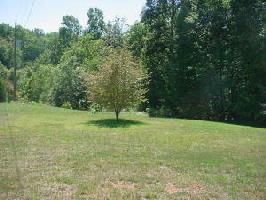 Lot 1 David LN